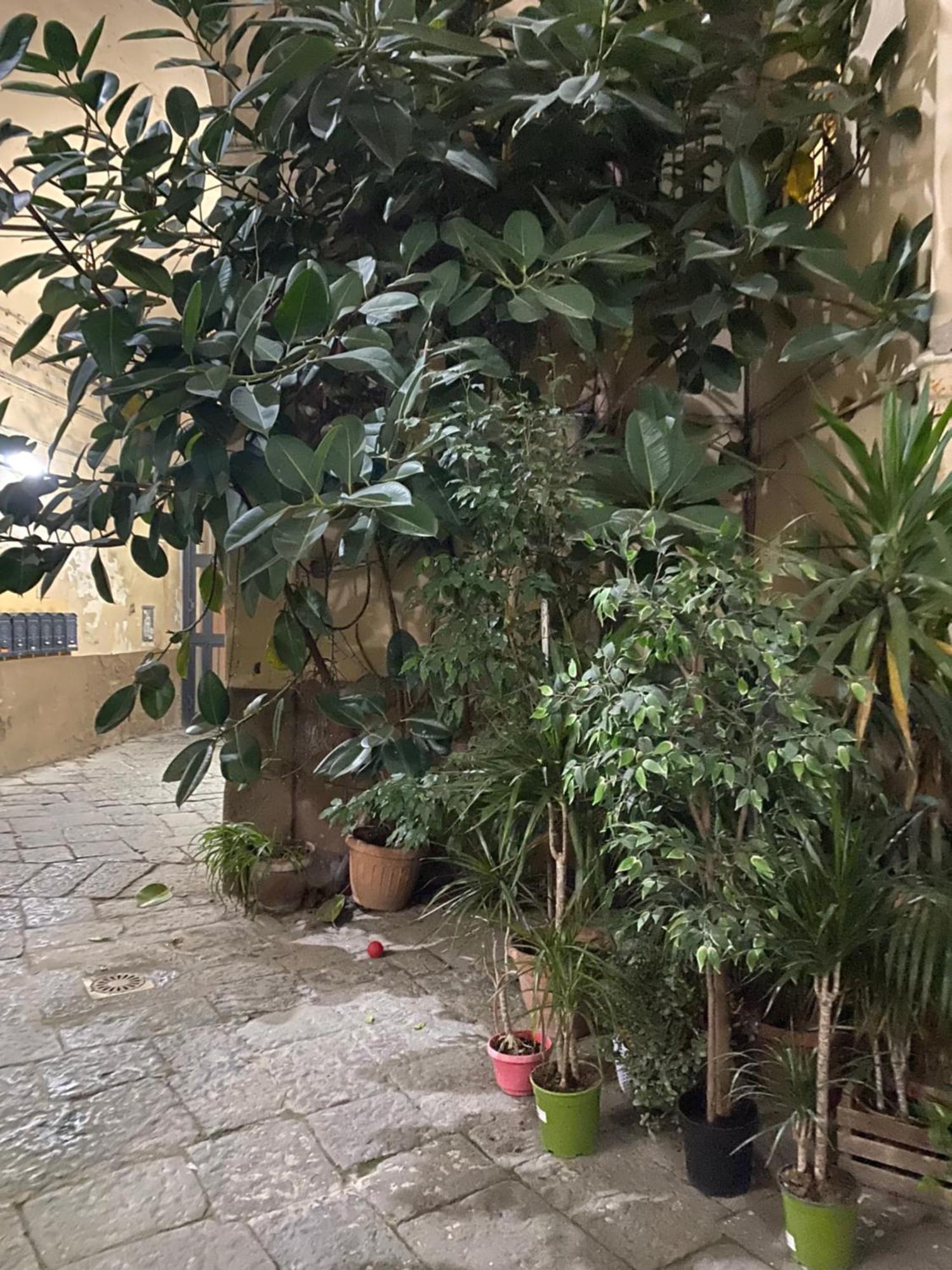 The Paradise House Naples Exterior photo